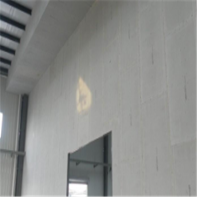 治多宁波ALC板|EPS加气板隔墙与混凝土整浇联接的实验研讨